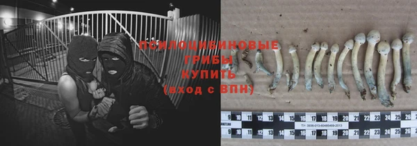 бошки Горнозаводск