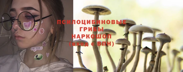 бошки Горнозаводск