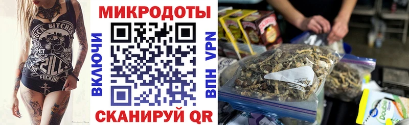 Галлюциногенные грибы Psilocybine cubensis  купить наркоту  Элиста 